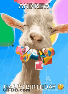 Goat With Balloons And Birthday Hat Holding Candy GIF