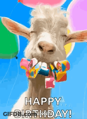 Goat With Balloons And Confetti Saying Happy Birthday GIF