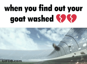 Goat With Broken Heart GIF