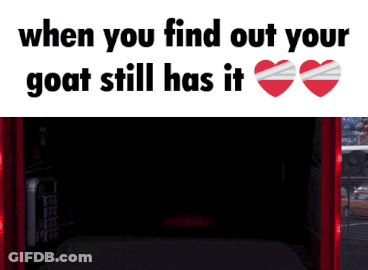 Goat With It Is Written Above Red Object GIF