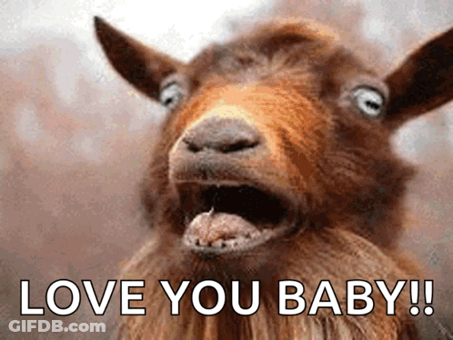 Goat With Mouth Open Saying Love You Baby GIF