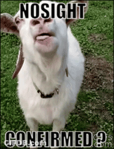 Goat With Tongue Out Nosight Confirmed GIF