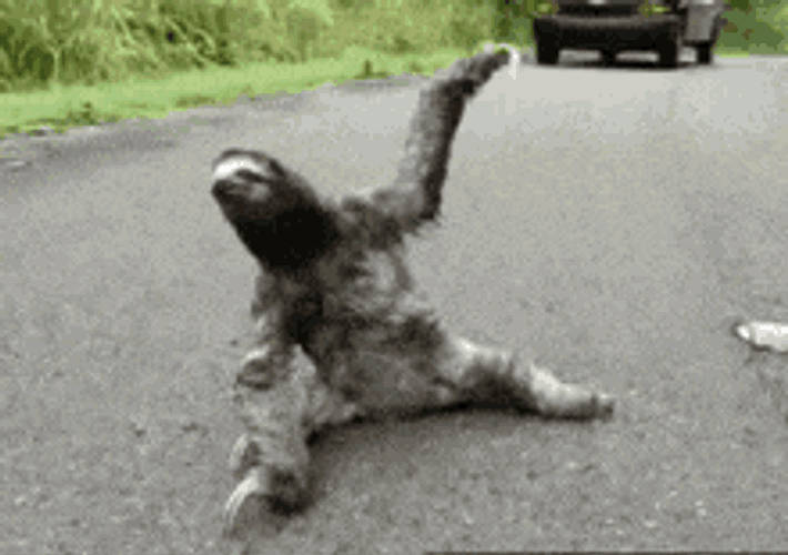 Goatplaybanjo Tuer GIF