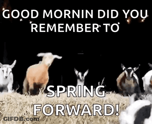 Goats In Field Saying Good Morning Did You Remember To Spring Forward GIF