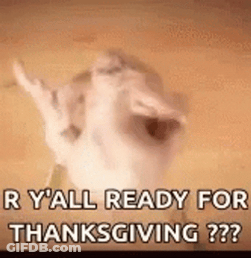 Gobble Gobble Chicken Dance GIF