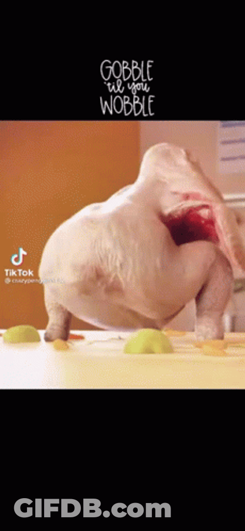 Gobble Gobble Dancing Turkey GIF