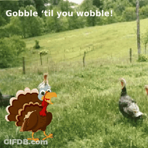 Gobble Gobble Til You Wobble GIF