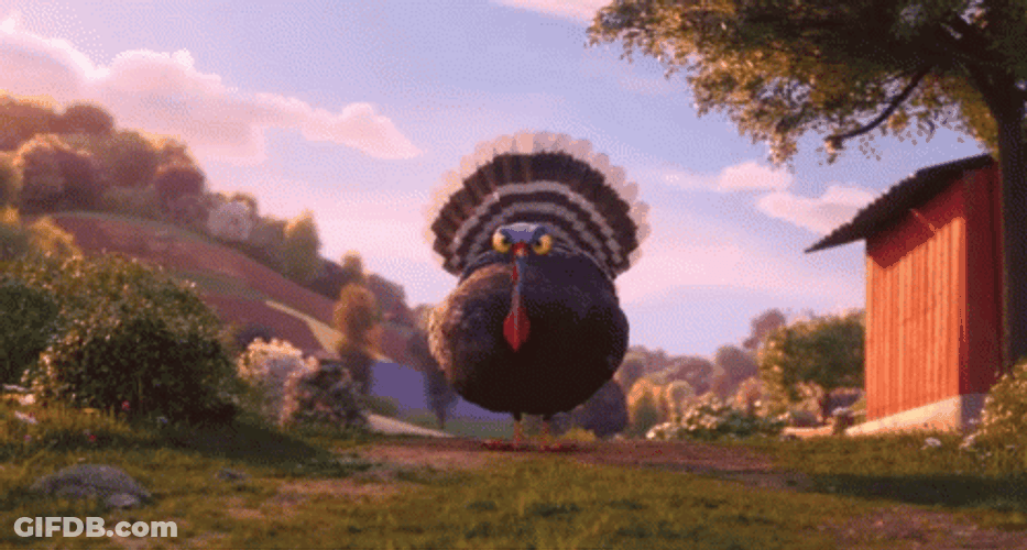 Gobble Gobble Turkey Yelling GIF