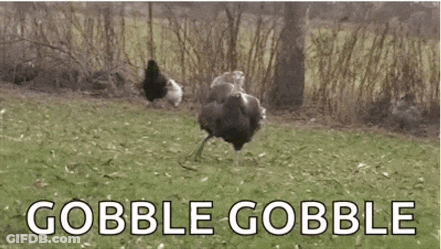 Gobble Its GIF