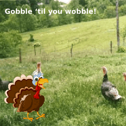 Gobble Til You Gobble Thanksgiving Meme GIF