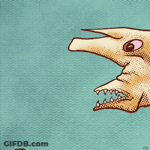 Goblin Shark I Hope You Get Diarrhea GIF