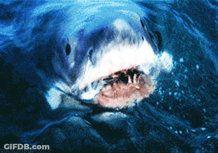 Goblin Shark Opening Mouth To Eat GIF