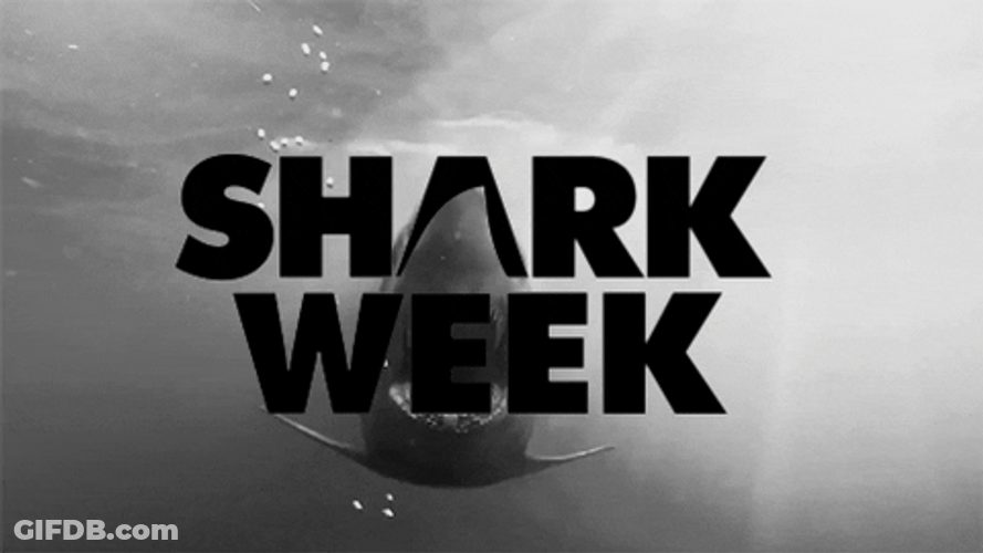 Goblin Shark Participating Shark Week GIF