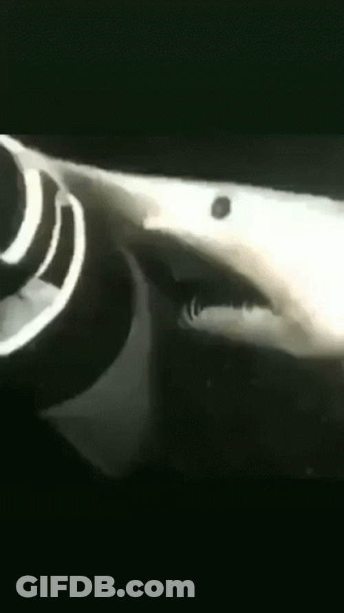 Goblin Shark Swallow Part Of Boat GIF