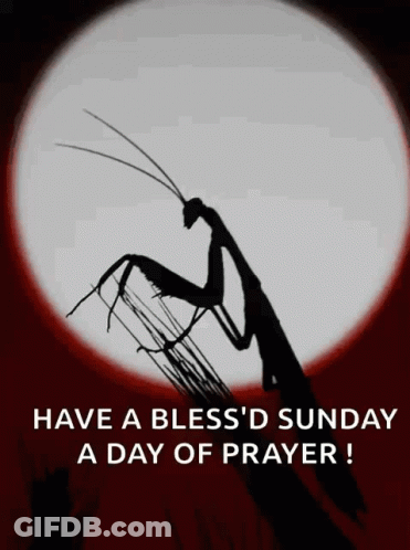 God Answers Prayers Faith And Trust GIF