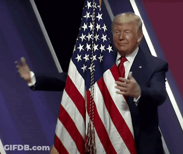 God Bless America Donald Trump Hugging Flag GIF