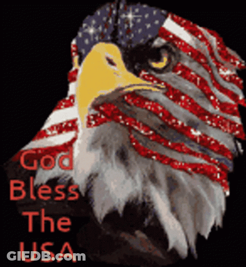 God Bless America Eagle Head Flag Color GIF