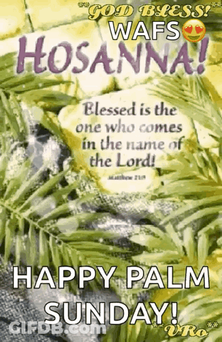 God Bless Wafs Hosanna Blessed Is The One Who Comes In The Name Of The Lord ! GIF