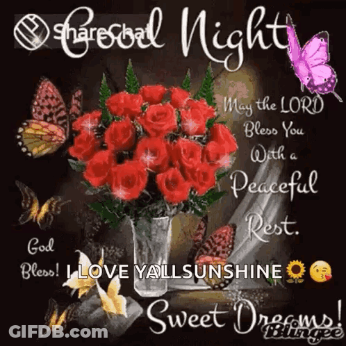 God Bless You Peaceful Rest Sweet Dreams GIF