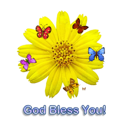 God Bless You Sunflower And Butterflies GIF