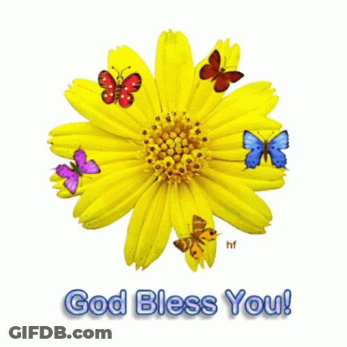 God Bless You Yellow Flower Butterflies GIF