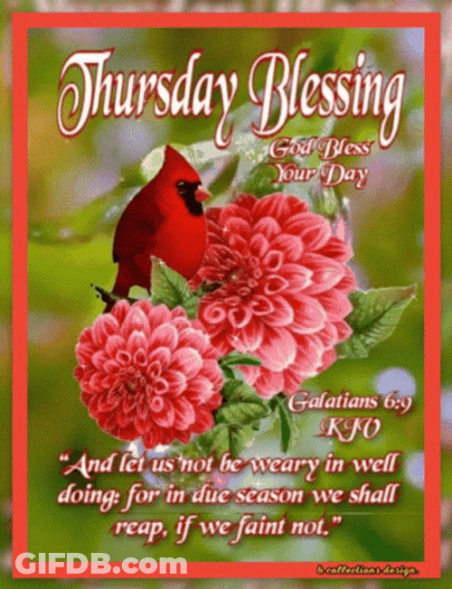 God Bless Your Thursday Blessings GIF