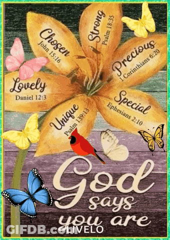 God Says You Are With Butterflies And Flowers GIF