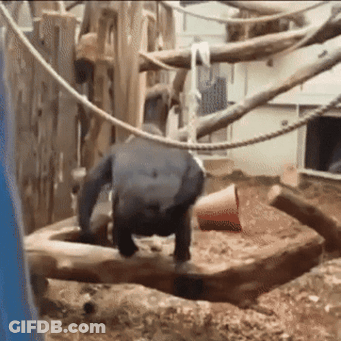 God Sends Special Friends GIF