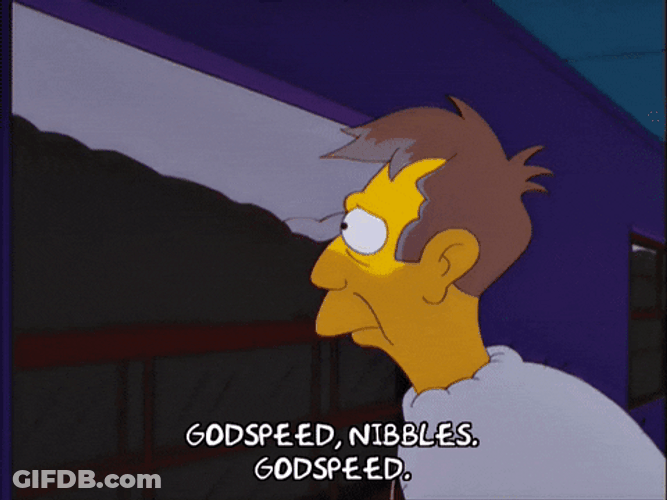 God Speed Nibbles GIF
