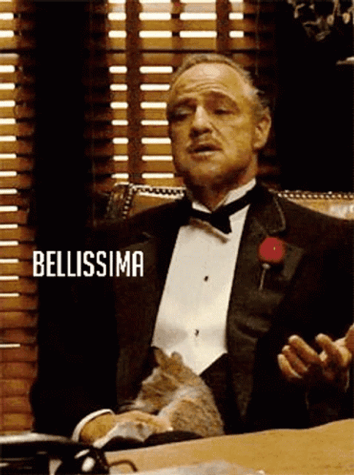 Godfather Looking Up While Holding Cat GIF