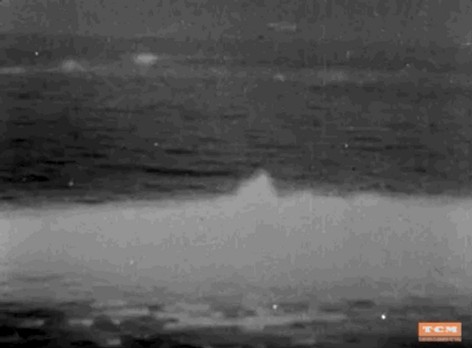 Godzilla 1950S Film GIF