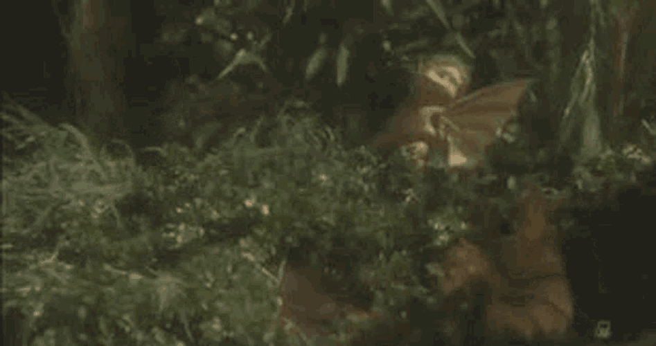 Godzilla Godzilla Vs King Ghidorah GIF