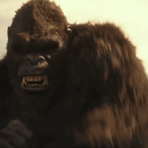 Godzilla Vs Kong Aggressively Turned GIF