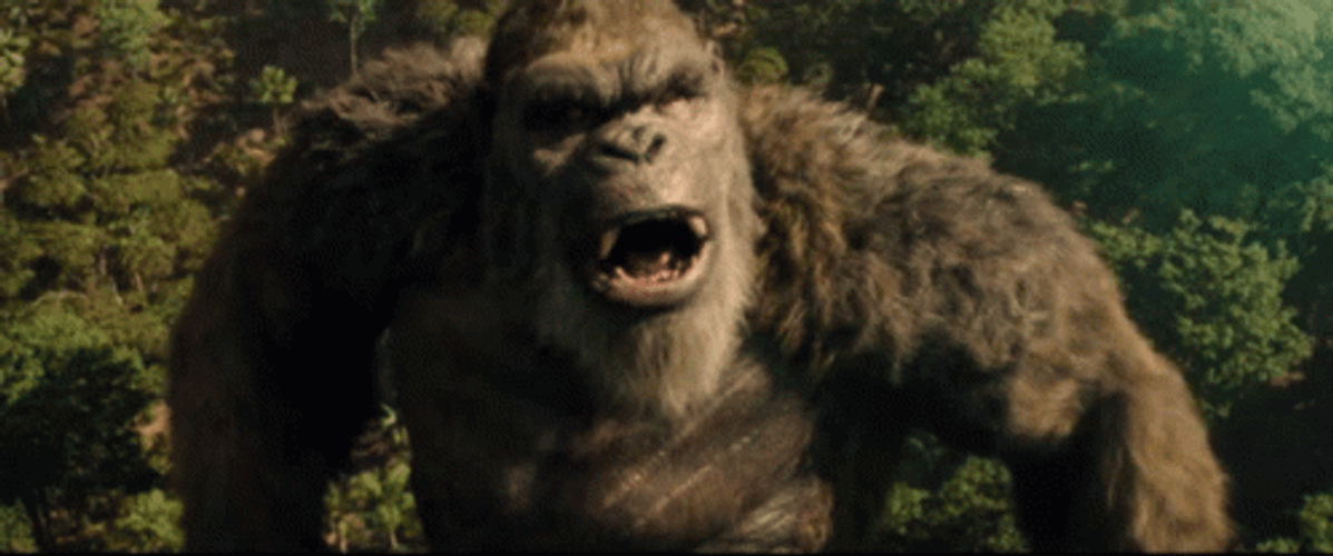 Godzilla Vs Kong Angry Roar GIF