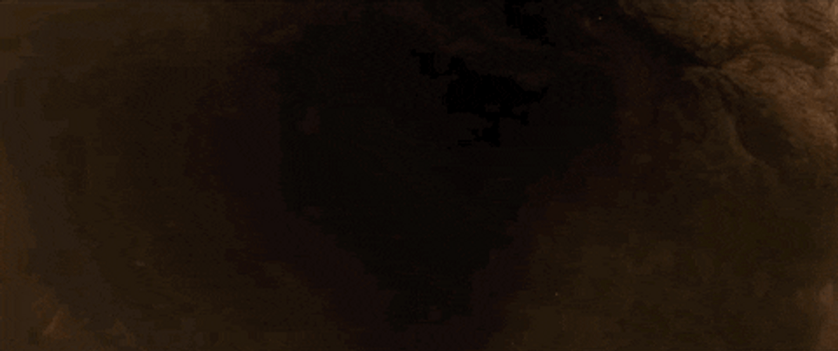 Godzilla Vs Kong Death Stare GIF