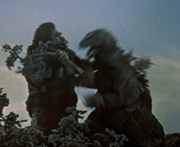 Godzilla Vs Kong Fight In Forest GIF