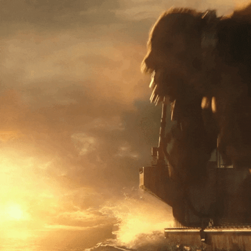 Godzilla Vs Kong Monsters Encounter GIF