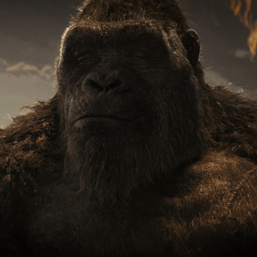 Godzilla Vs Kong Sad Look GIF