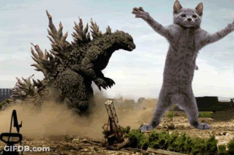 Godzilla Watching Cat Dance GIF