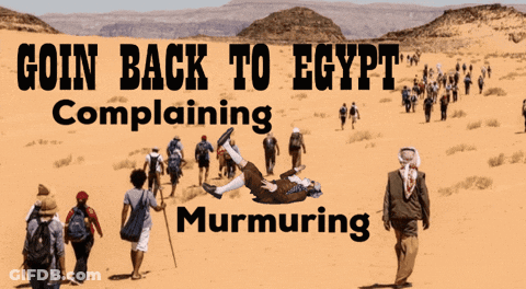 Goin Back To Egypt Complaining Murmuring Poster GIF