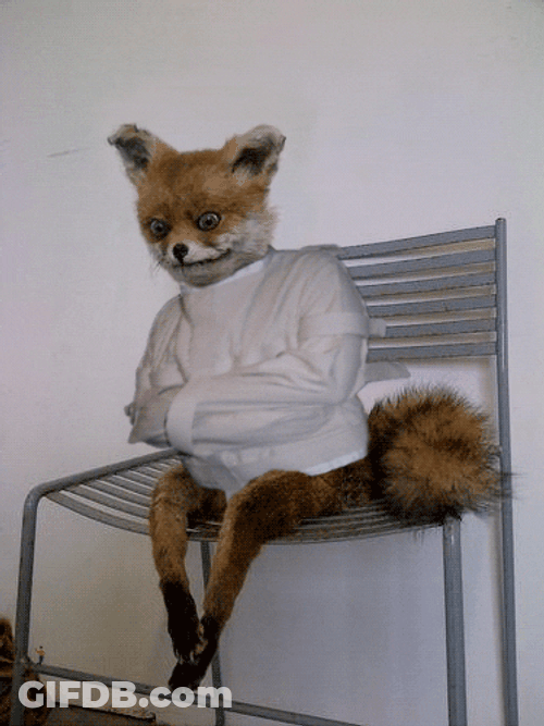 Going Crazy Madness Head Shake Dog Mental GIF