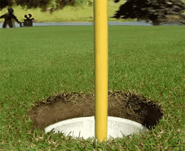 Going In Hole Of Golf Course GIF