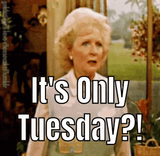 Going Up On A Tuesday Betty White GIF