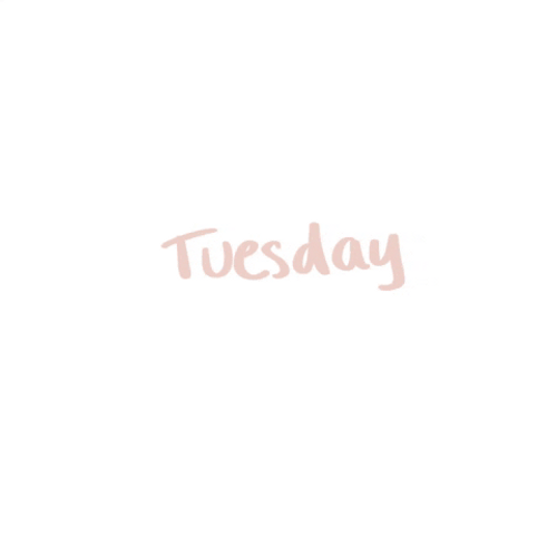 Going Up On A Tuesday Flickering Text GIF