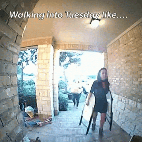 Going Up On A Tuesday Funny Fall GIF