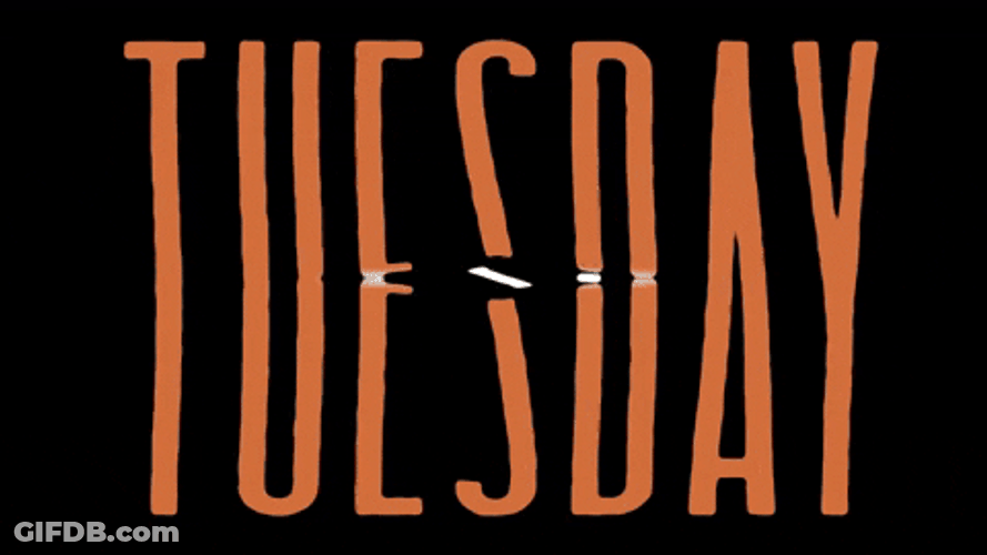 Going Up On A Tuesday Orange Rip GIF