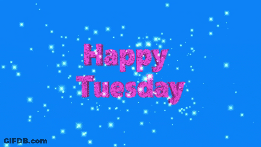 Going Up On A Tuesday Sparkling Design GIF