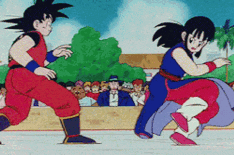Goku And Chi-Chi Fighting GIF