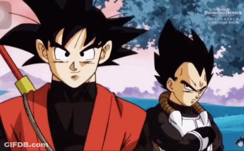 Goku And Vegeta Are Standing Next To Each Other In A Cartoon GIF
