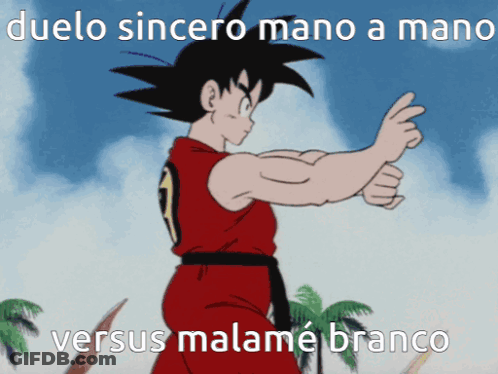 Goku Duelo Sincero Mano A Mano Versus Malame Branco GIF
